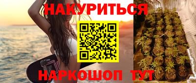 сатива Балахна