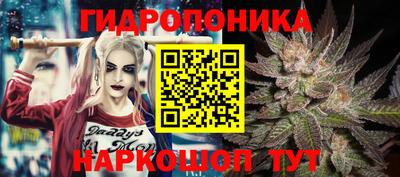 сатива Балахна