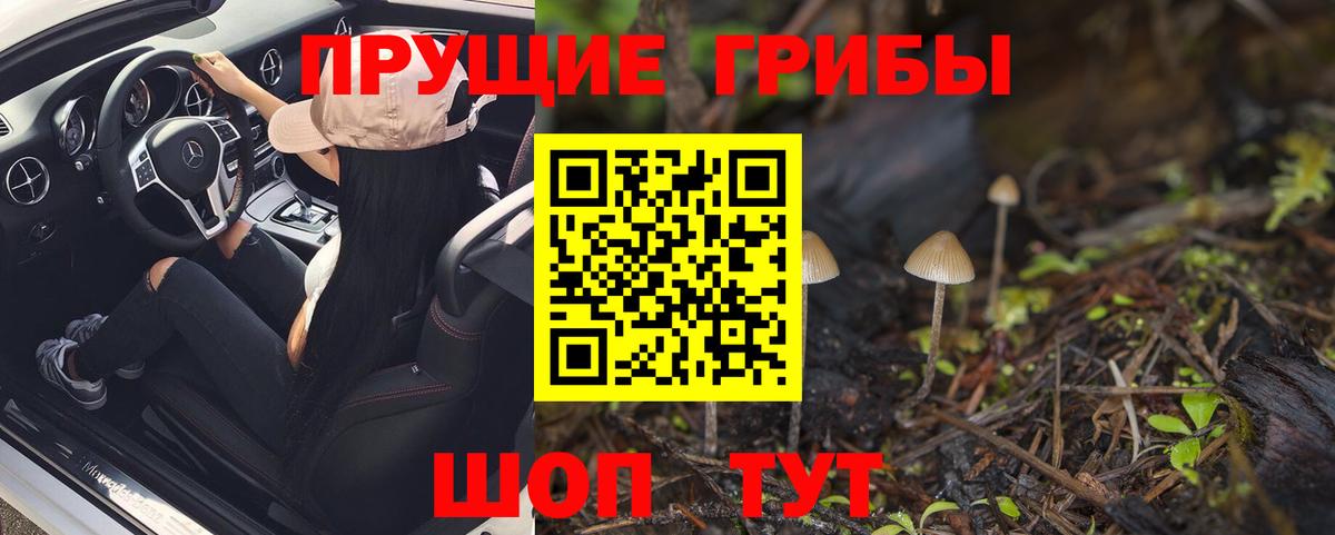 дарнет шоп  Псилоцибиновые грибы Psilocybe  Псилоцибиновые грибы Cubensis  Вход с VPN  Ейск 
